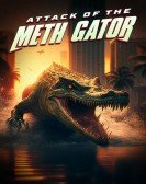 Attack of the Meth Gator Free Download