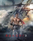 Baaghi 2 Free Download
