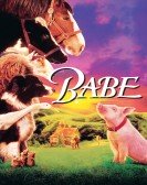 Babe (1995) poster