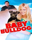 Baby Bulldog Free Download