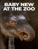 Baby New at the Zoo poster