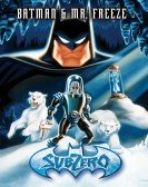 Batman and Mr.Freeze: SubZero poster