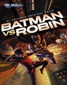 Batman vs. Robin (2015) poster