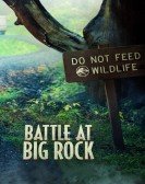 Battle at Big Rock poster