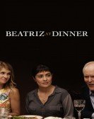 Beatriz at Dinner (2017) Free Download