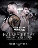 Bellator 137: Halsey vs. Grove Free Download