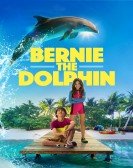 poster_bernie-the-dolphin_tt7549618.jpg Free Download