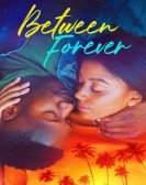 Between Forever Free Download
