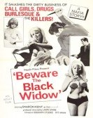 poster_beware-the-black-widow_tt0211247.jpg Free Download