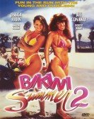 Bikini Summer II Free Download
