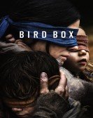 Bird Box (2018) poster