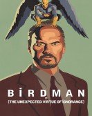 Birdman (2014) poster