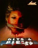 Bits and Pieces poster
