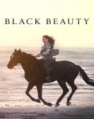 Black Beauty Free Download