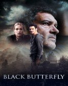 Black Butterfly (2017) Free Download