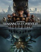 Black Panther: Wakanda Forever Free Download