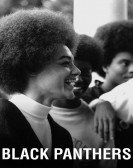 Black Panthers Free Download