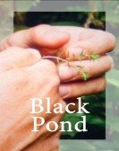 Black Pond Free Download