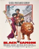 Black Samson Free Download