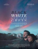 Black White and the Greys Free Download