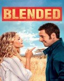 Blended (2014) poster