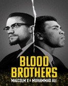Blood Brothers: Malcolm X & Muhammad Ali Free Download