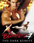 Bloodsport: The Dark Kumite poster