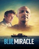 Blue Miracle Free Download