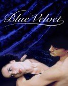 Blue Velvet Free Download