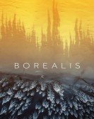 Borealis Free Download