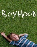 Boyhood (2014) Free Download