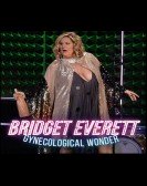 Bridget Everett: Gynecological Wonder Free Download