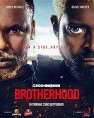 Brotherhood Free Download