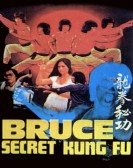 Bruce's Secret Kung Fu Free Download