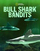 Bull Shark Bandits Free Download