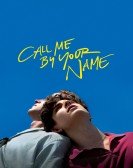 poster_call-me-by-your-name_tt5726616.jpg Free Download