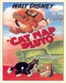 Cat Nap Pluto Free Download