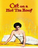 Cat on a Hot Tin Roof Free Download