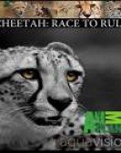 Cheetah: Race To Rule Free Download
