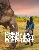 Cher & the Loneliest Elephant Free Download