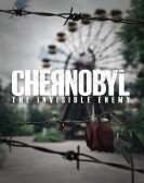 Chernobyl: The Invisible Enemy Free Download
