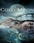 Cold Moon Free Download