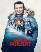 Cold Pursuit (2019) Free Download