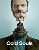 Cold Souls poster