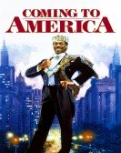 Coming to America (1988) Free Download