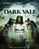 Dark Vale poster