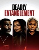 Deadly Entanglement poster