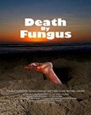 Death By Fungus Free Download