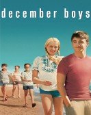December Boys Free Download