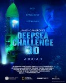 Deepsea Challenge 3D (2014) poster